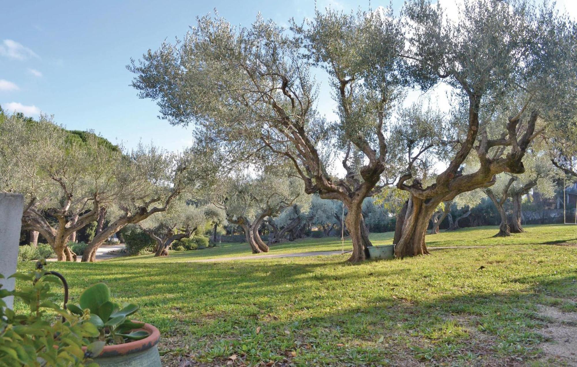 Awesome Home In Toulon Extérieur photo